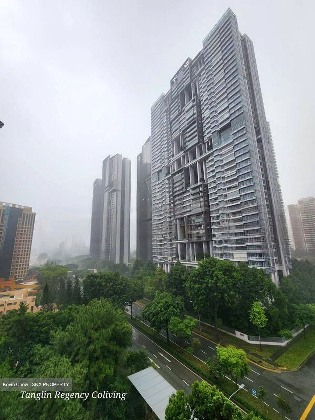 Tanglin Regency (D10), Condominium #451785191